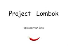 lombok配置文件说明-Ddmit