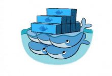 Docker环境下从sql脚本恢复mysql数据库数据-Ddmit