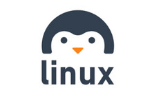 查找Linux系统中的占用磁盘空间最大的前10个文件或文件夹-Ddmit