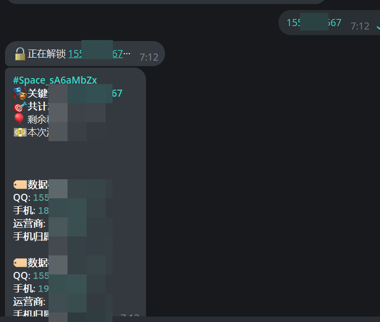 图片[1]-Space社工库机器人: 身份户籍/开房记录，隐私信息免费查询-IT黑科技