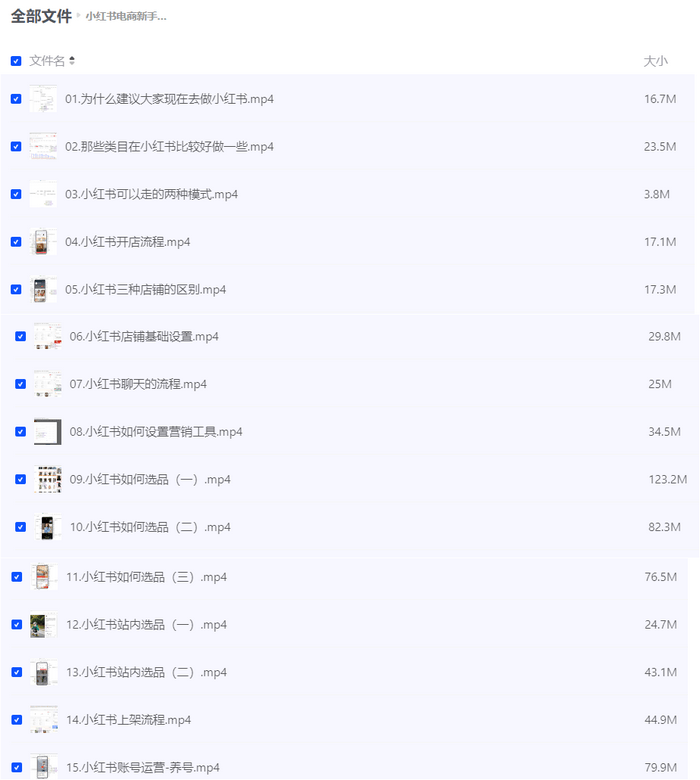 小红书电商新手入门到精通实操课-IT黑科技