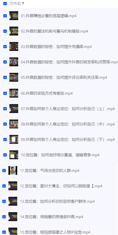 图片[1]-个人IP创富系统实战课，商业定位，流量打造，短视频变现，教你做个赚钱的抖音号-IT黑科技