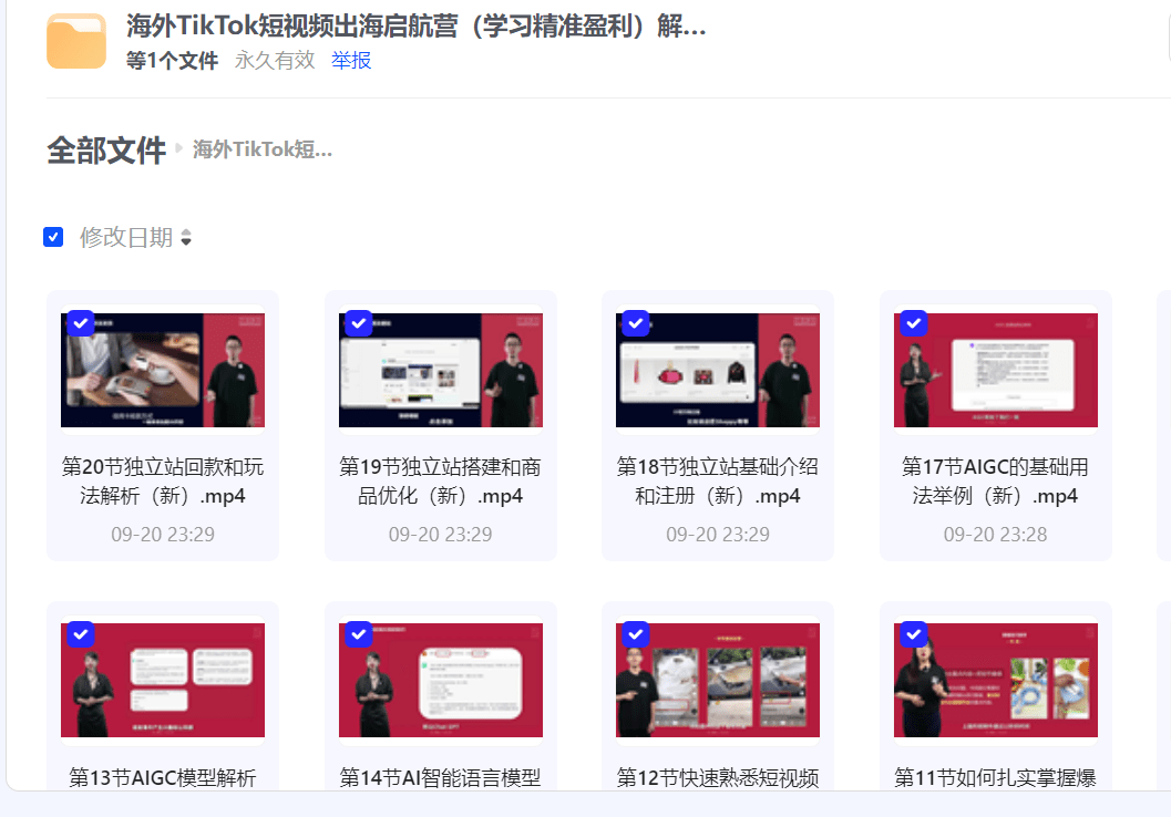 图片[1]-海外TikTok短视频出海启航营（学习精准盈利）解读，手把手教会你从0-1入局-IT黑科技