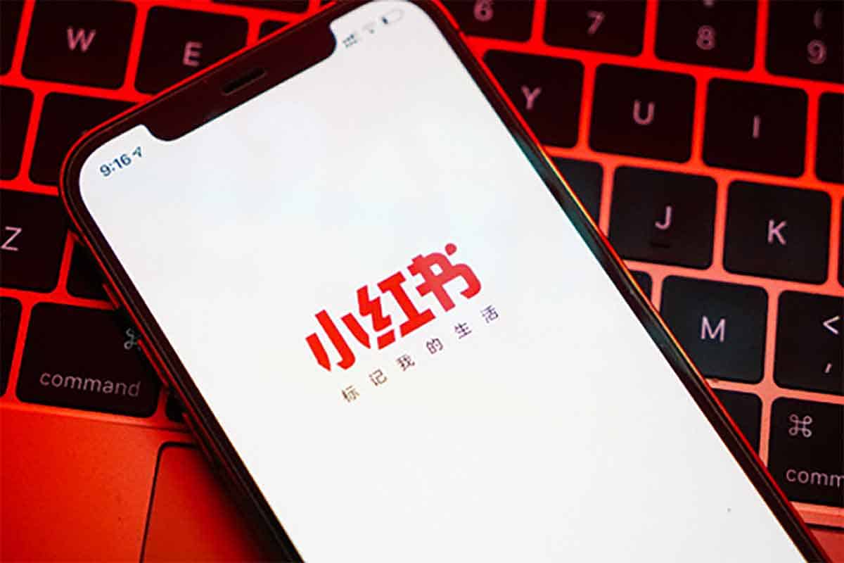 28天小红书博主IP特训营（第3期）实战经验，快速涨粉，迅速变现-IT黑科技