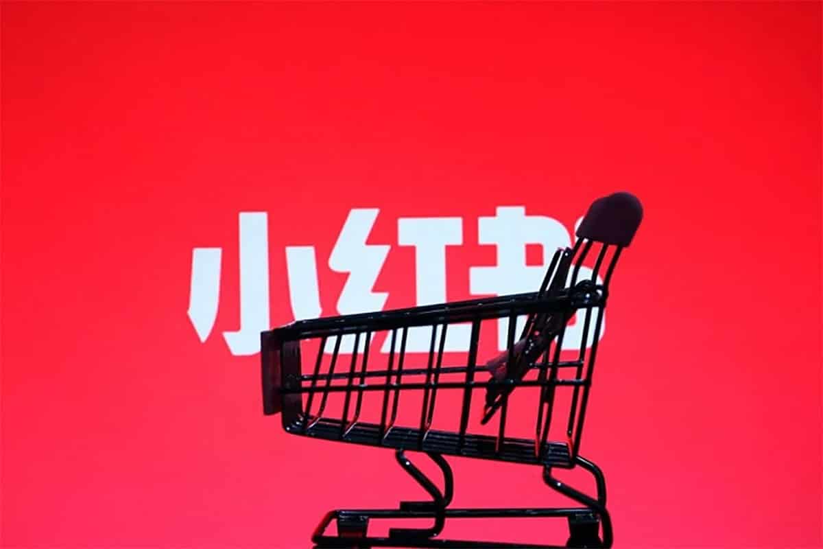 阿本小红书电商陪跑营4.0，带大家从0到1把小红书做起来-IT黑科技