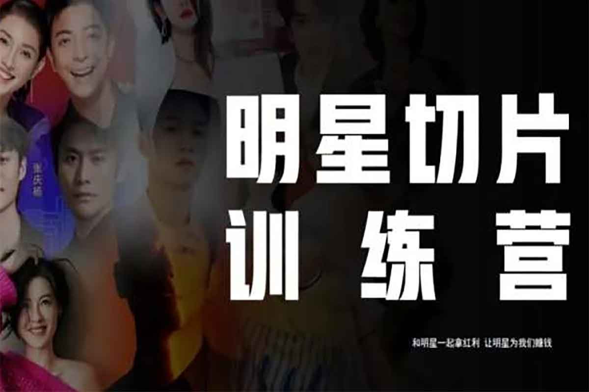 王子·明星切片线上训练营，和明星一起拿红利，让明星为我们赚钱-IT黑科技