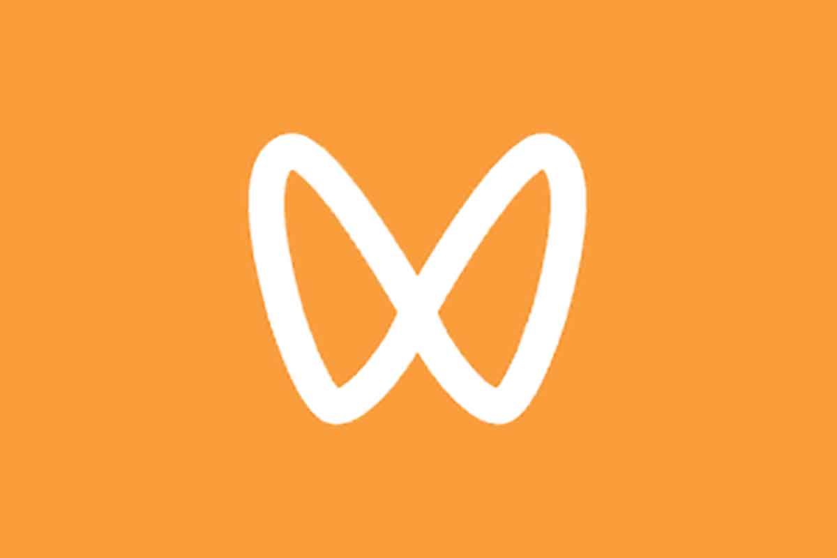 视频号0-1特训营：平台机制、拍摄剪辑、内容创作、爆款公式，实战案例分享-IT黑科技