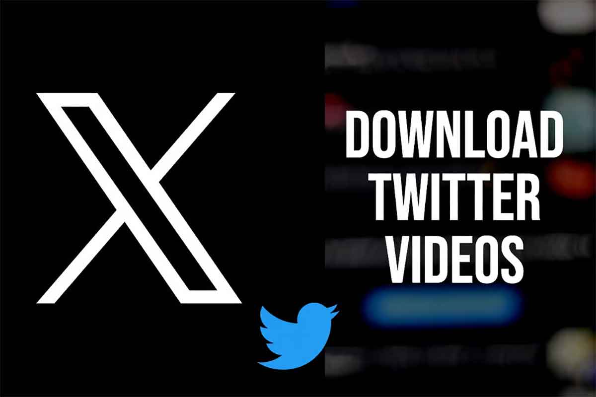 X Twitter推特视频下载器：DL熊猫-IT黑科技