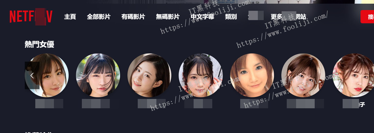 大人版奈飞 在线视频学习网站-Netflav 1