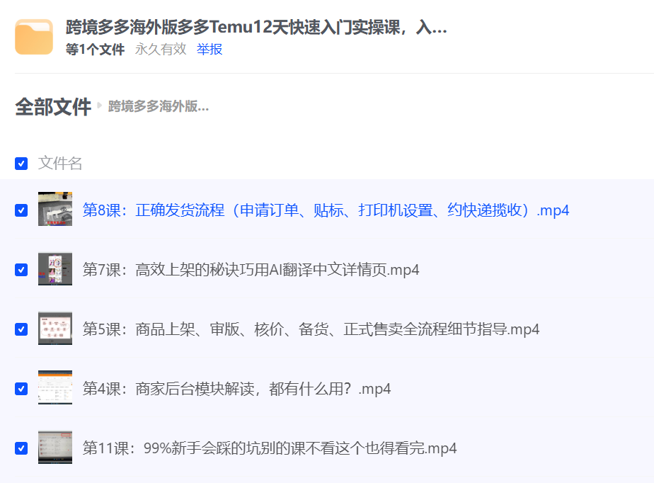 跨境多多海外版多多Temu12天快速入门实操课，入驻、上架、审版、核价、备货、正式售卖全流程