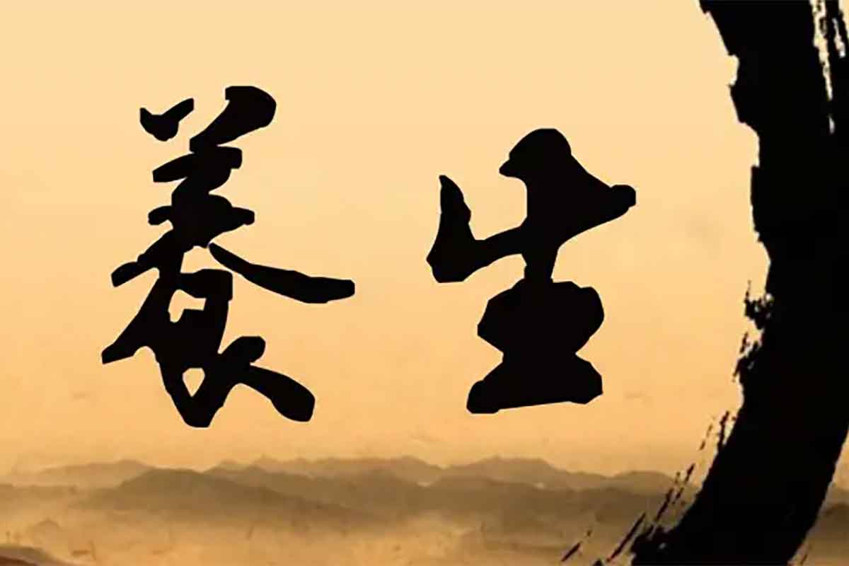 养生赛道，素人IP打造，流量很大，可矩阵，月入1w+【揭秘】-IT黑科技