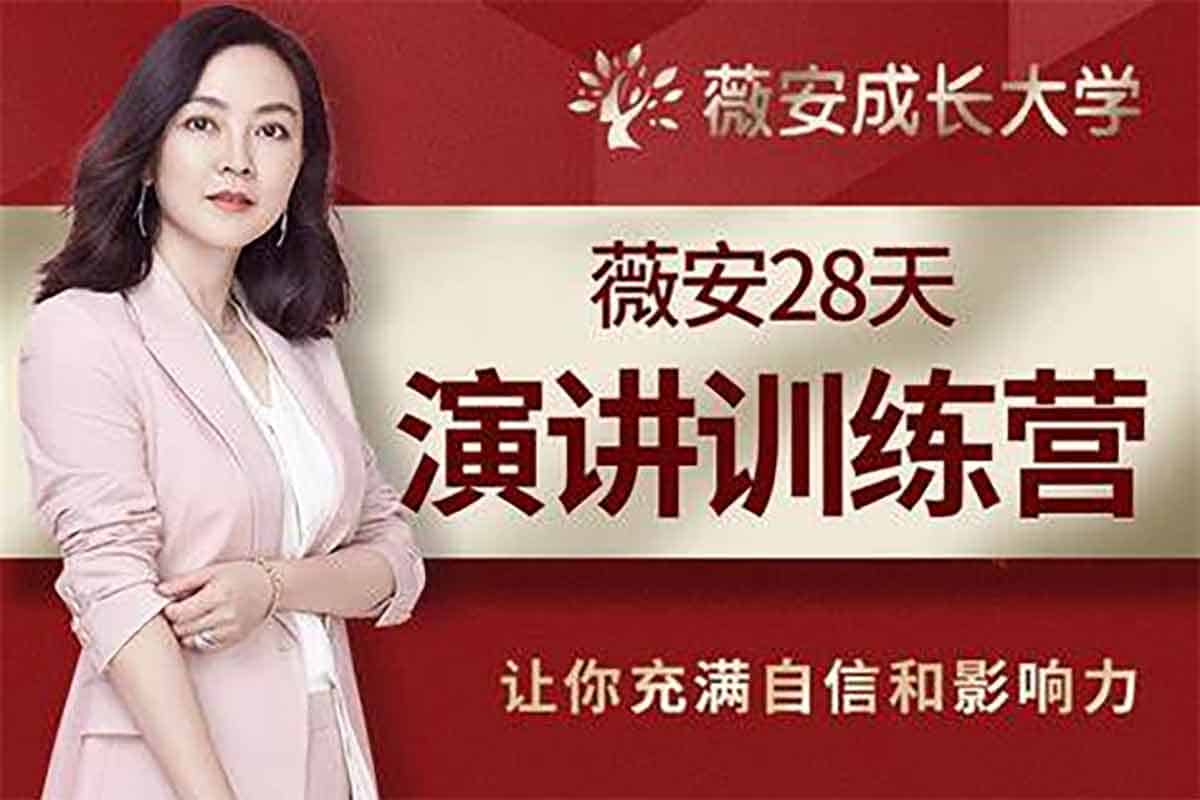 薇安28天销售高手训练营（完结）-IT黑科技