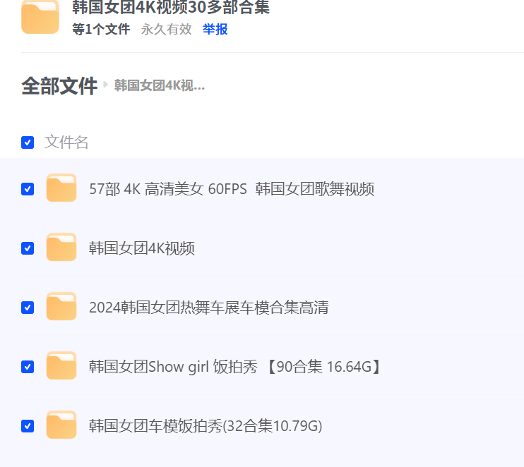 韩国女团4K视频30多部合集