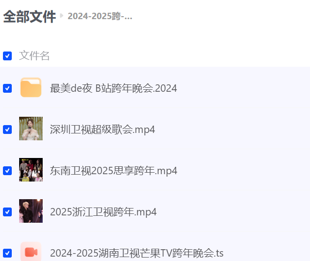 2024-2025 各平台跨年晚会合集