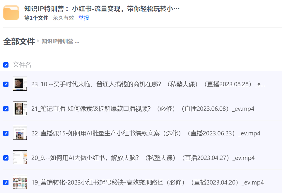 知识IP特训营 ：小红书-流量变现，带你轻松玩转小红书（23节视频课）
