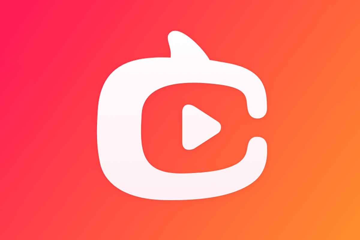 淘宝商家直播新人速成指南，淘宝直播入门小白必看-IT黑科技