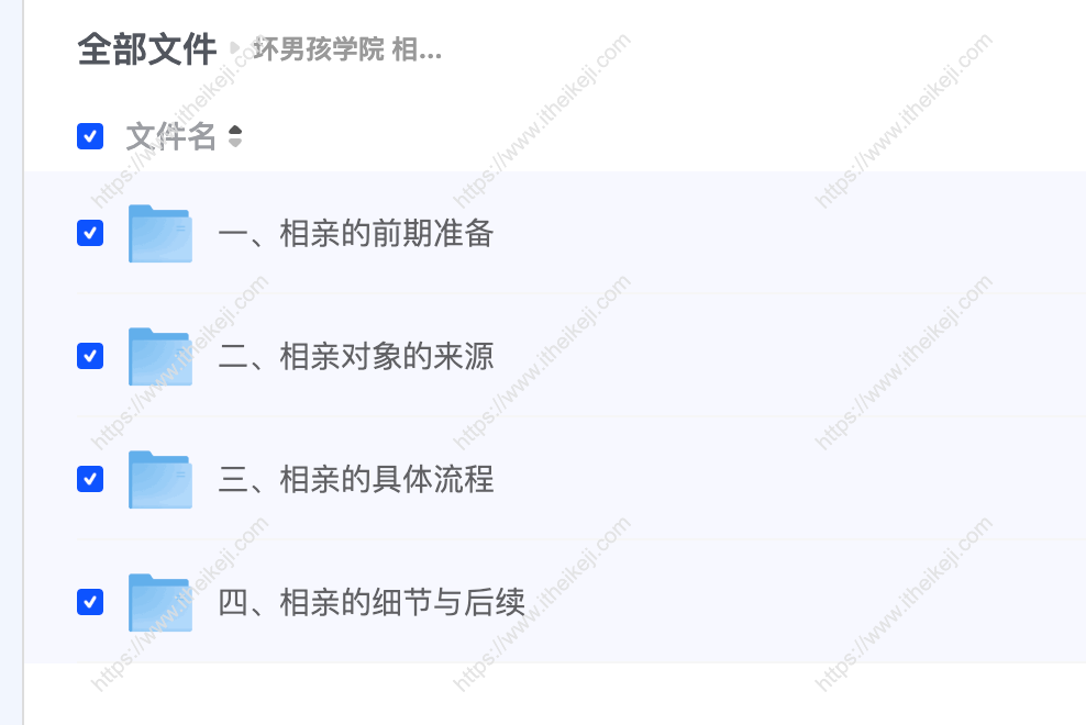坏男孩学院 相亲攻略 夸克网盘