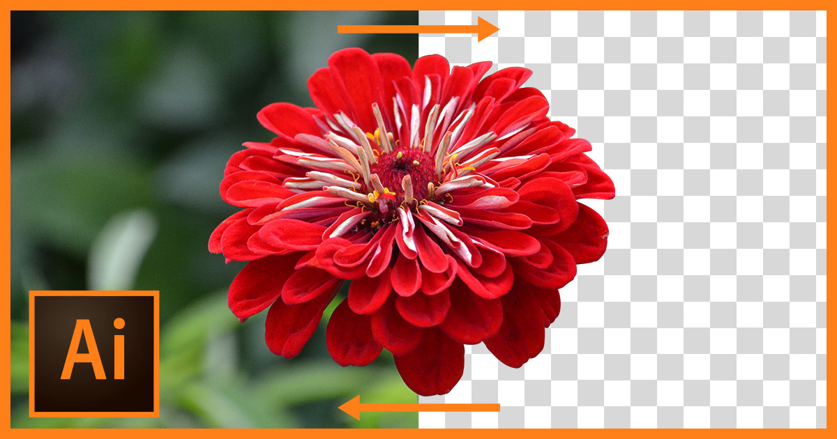 Quitar Fondo - AI图像去背景神器，一键高精度去除背景，3 秒搞定-IT黑科技