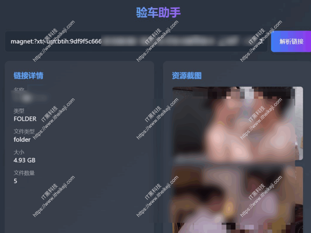 验车助手 - 车牌磁力链接预览工具