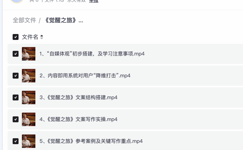 《觉醒之旅》文案模型，带着你，用你的一件小事写出一篇，用户有期待，对社会有价值，对自己有意义的短视频文案 夸克网盘