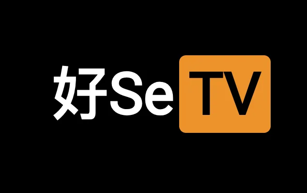 一个成功人士的视频学习网站-好seTV-IT黑科技